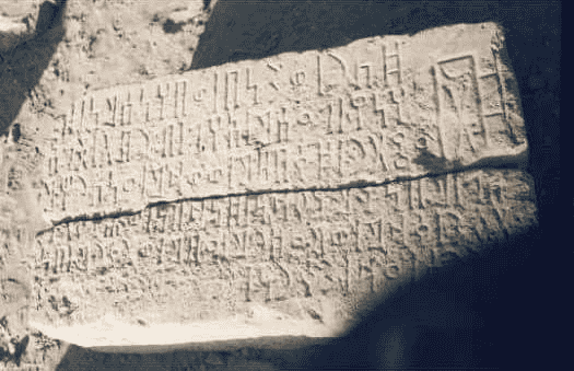  الذفيف 31/ AL-Dhafeef 31